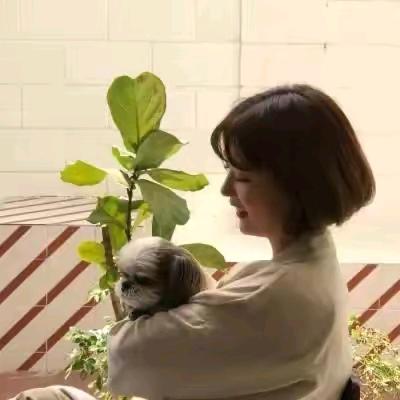 小鱼🌹🌹🌹