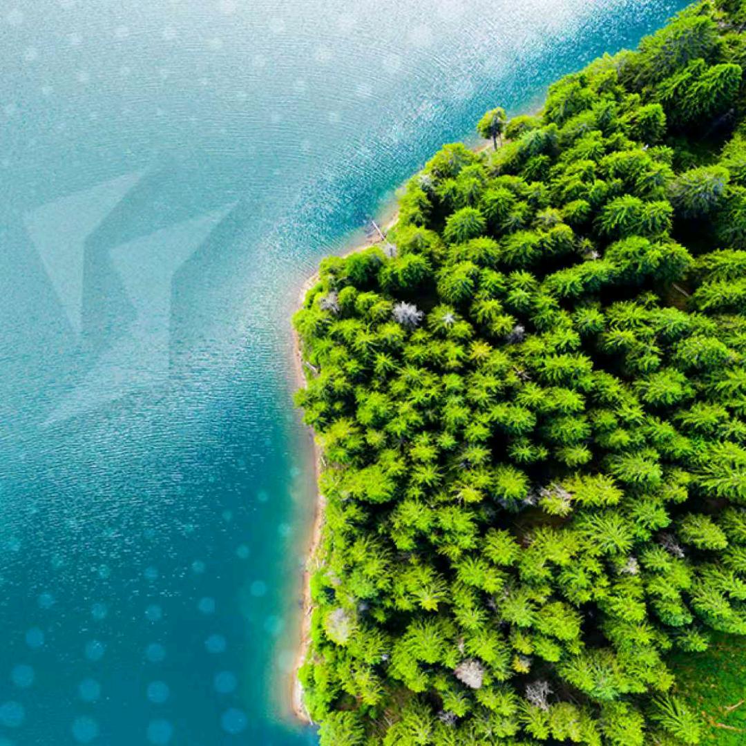 空气安全健康伙伴—雷雷