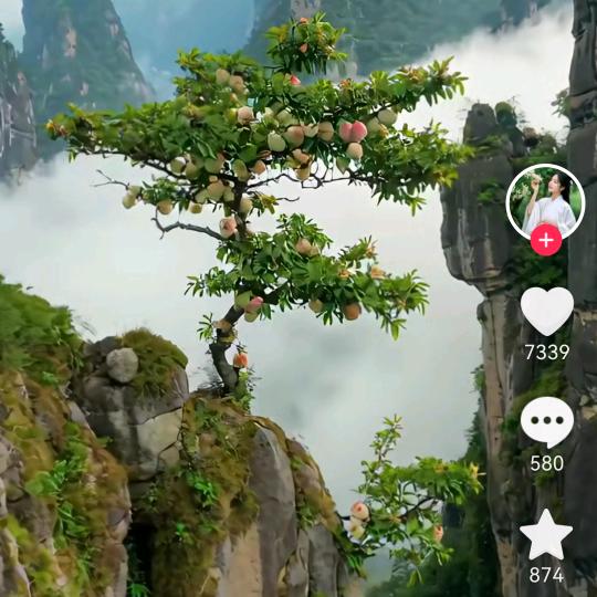 不聊天