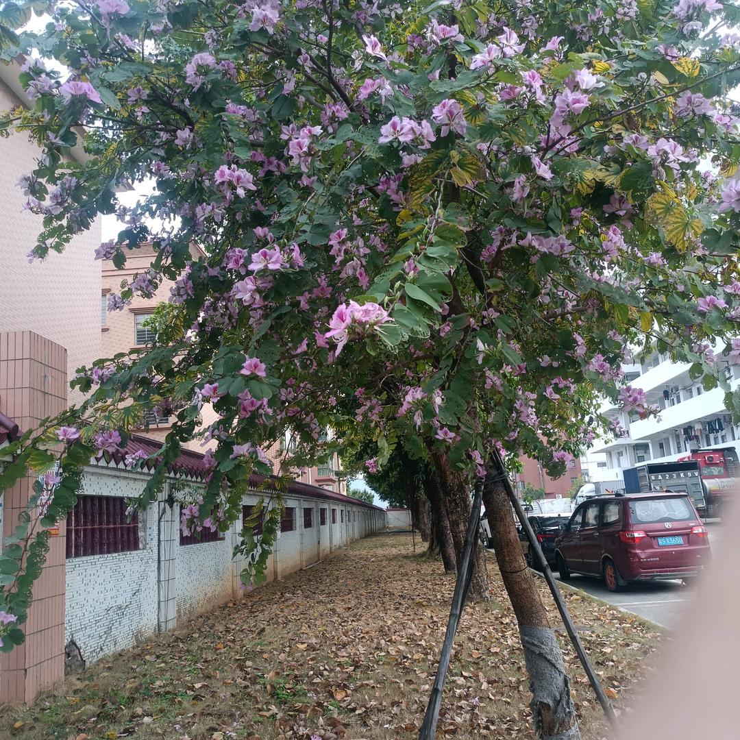 ❤️封心锁爱❤️