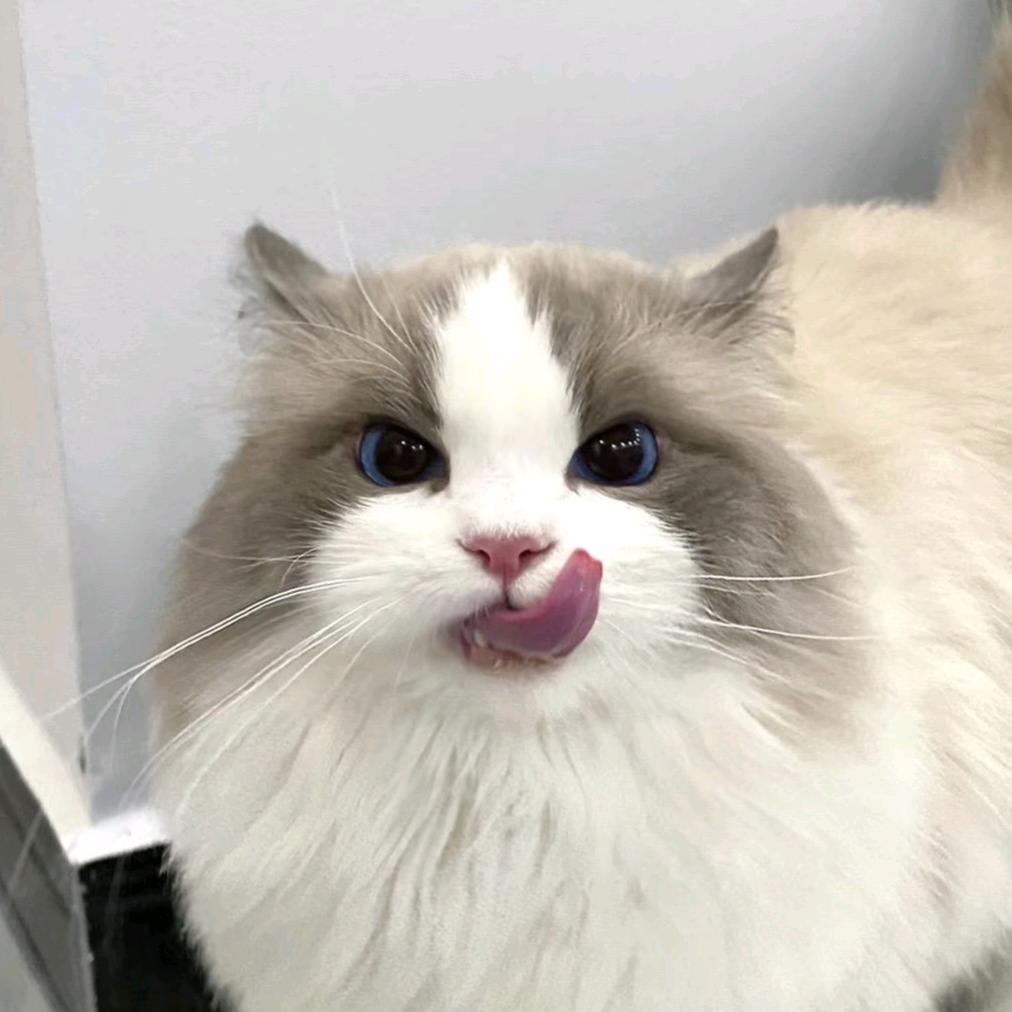 北部湾大学章同学