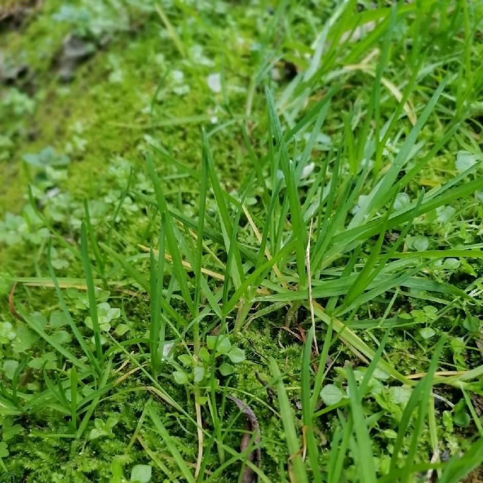 小李的理