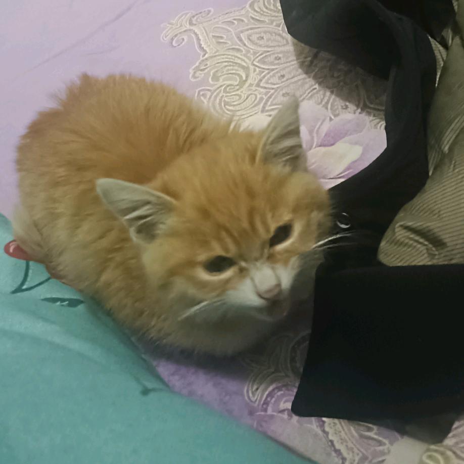 周周