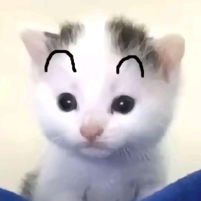 恨你眼角的泪痣