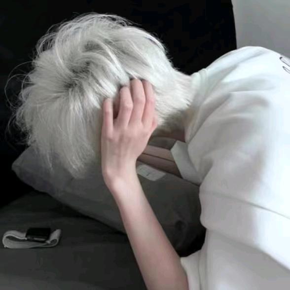 🐠奔波儿灞儿波奔