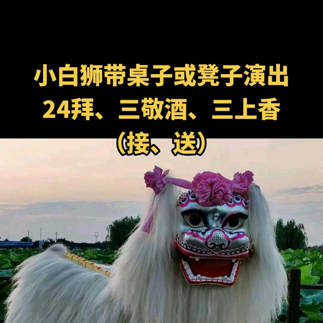 小白狮24拜全国接单