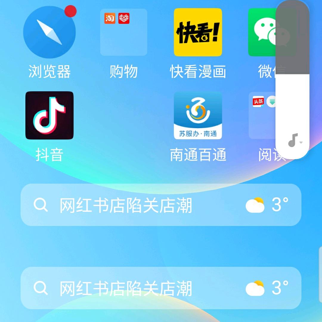 李大姐