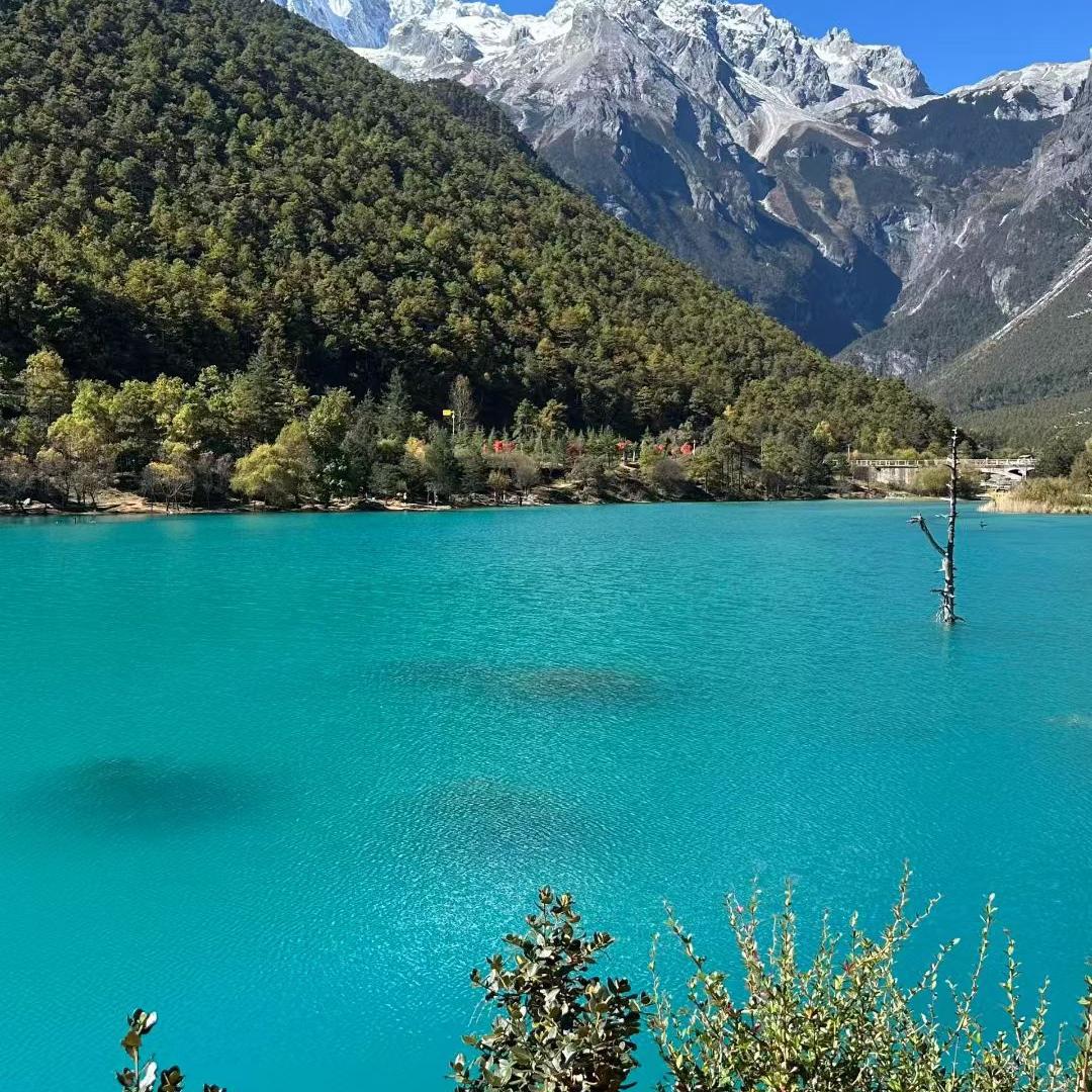 郑州交通技师学院曹老师