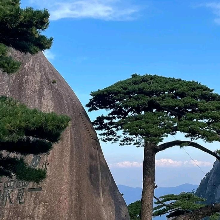 来发