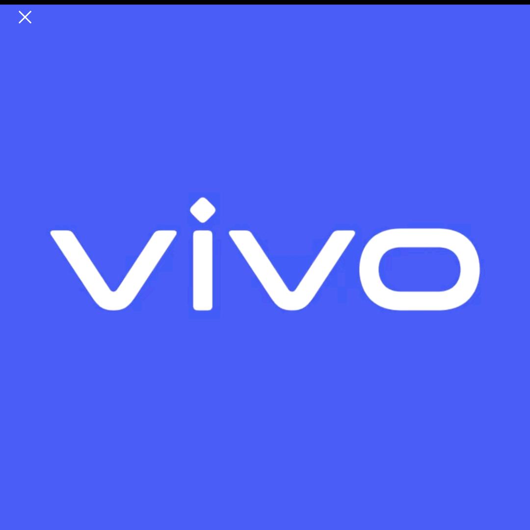 重生之我在vivo当店长