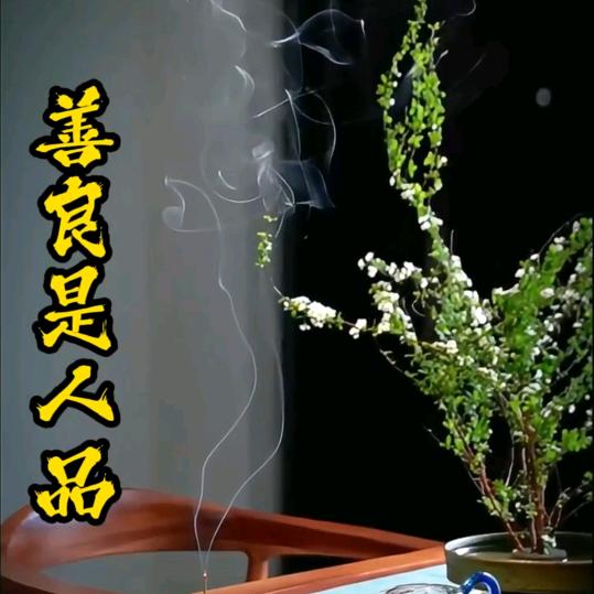 ☘️不负🍒时光☘️