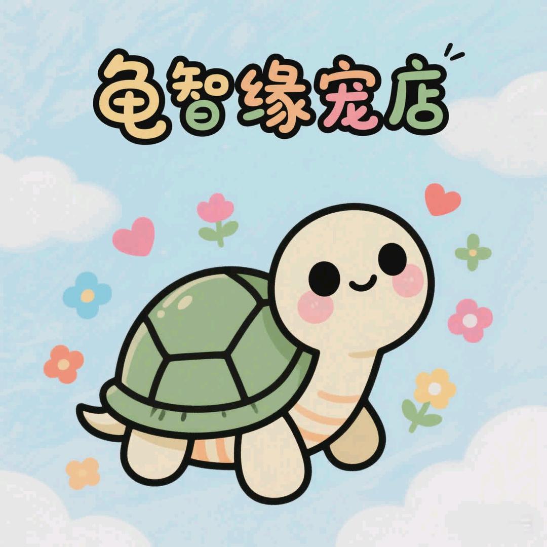 龟智缘龟宠
