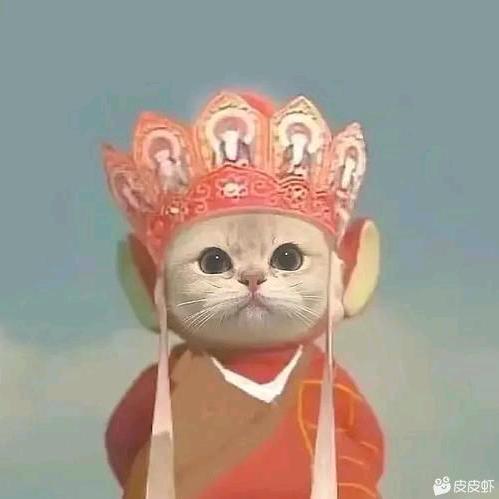 一杯冰美式🧊