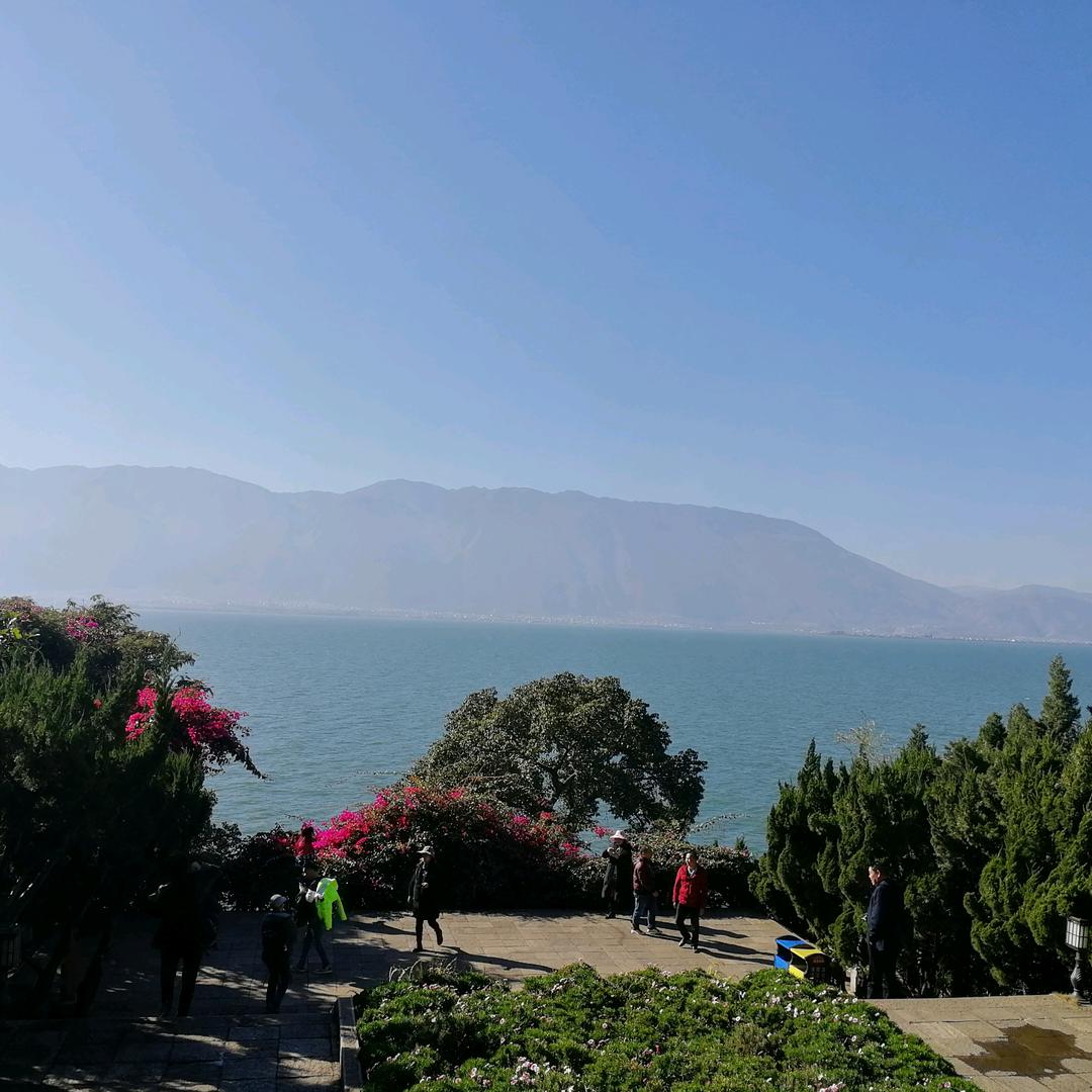 🇨🇳 W.ang🇨🇳