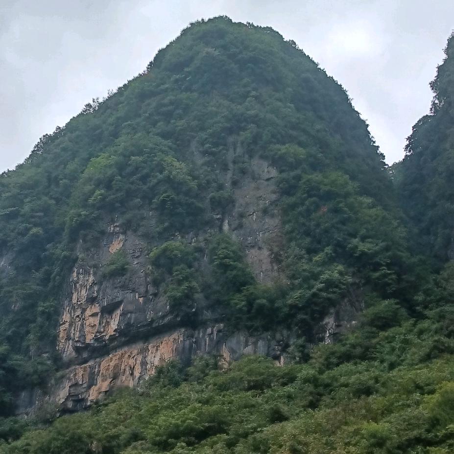 简单快乐