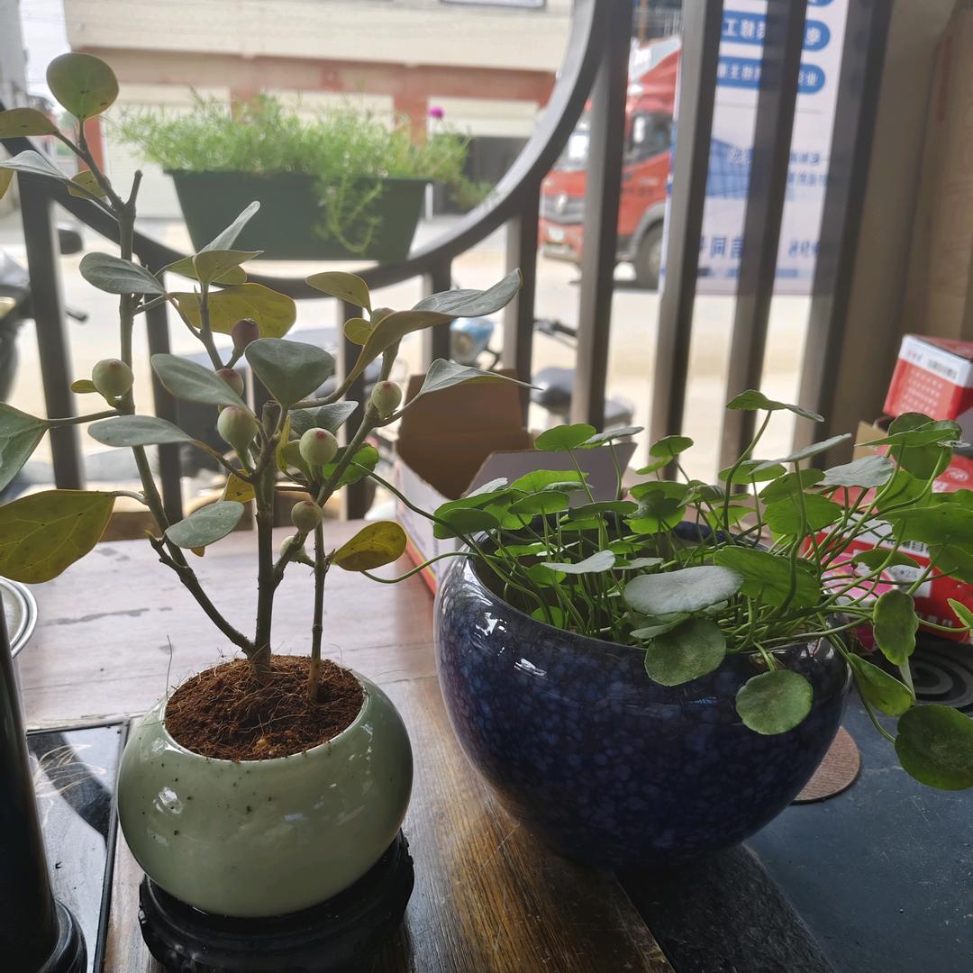 华堡移动箱房吴文丽