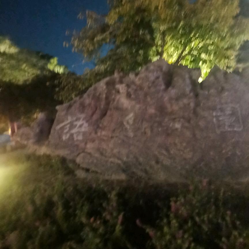 伴你余生