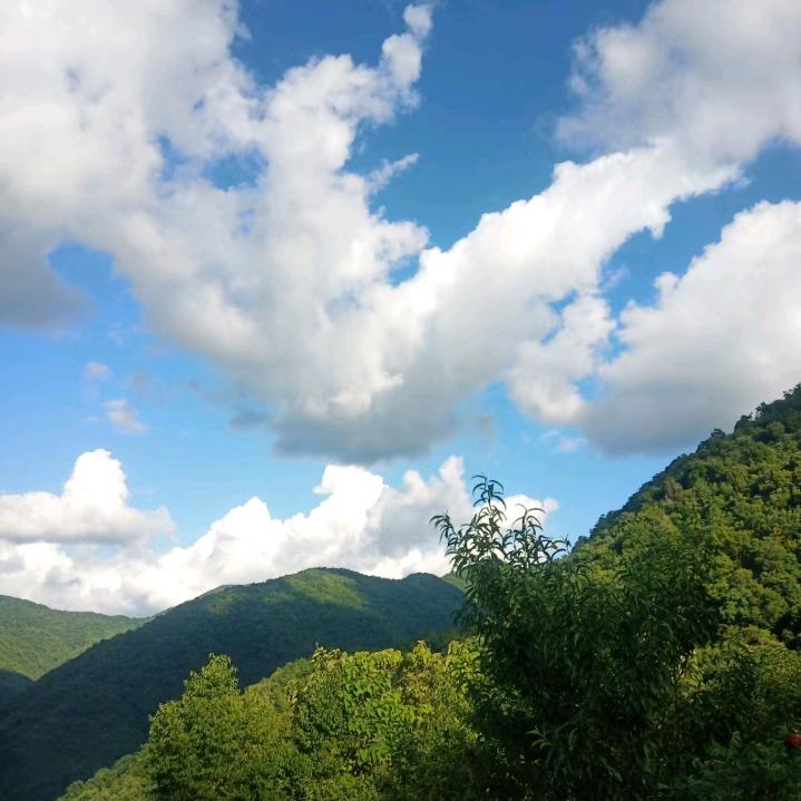 冬天阳光。