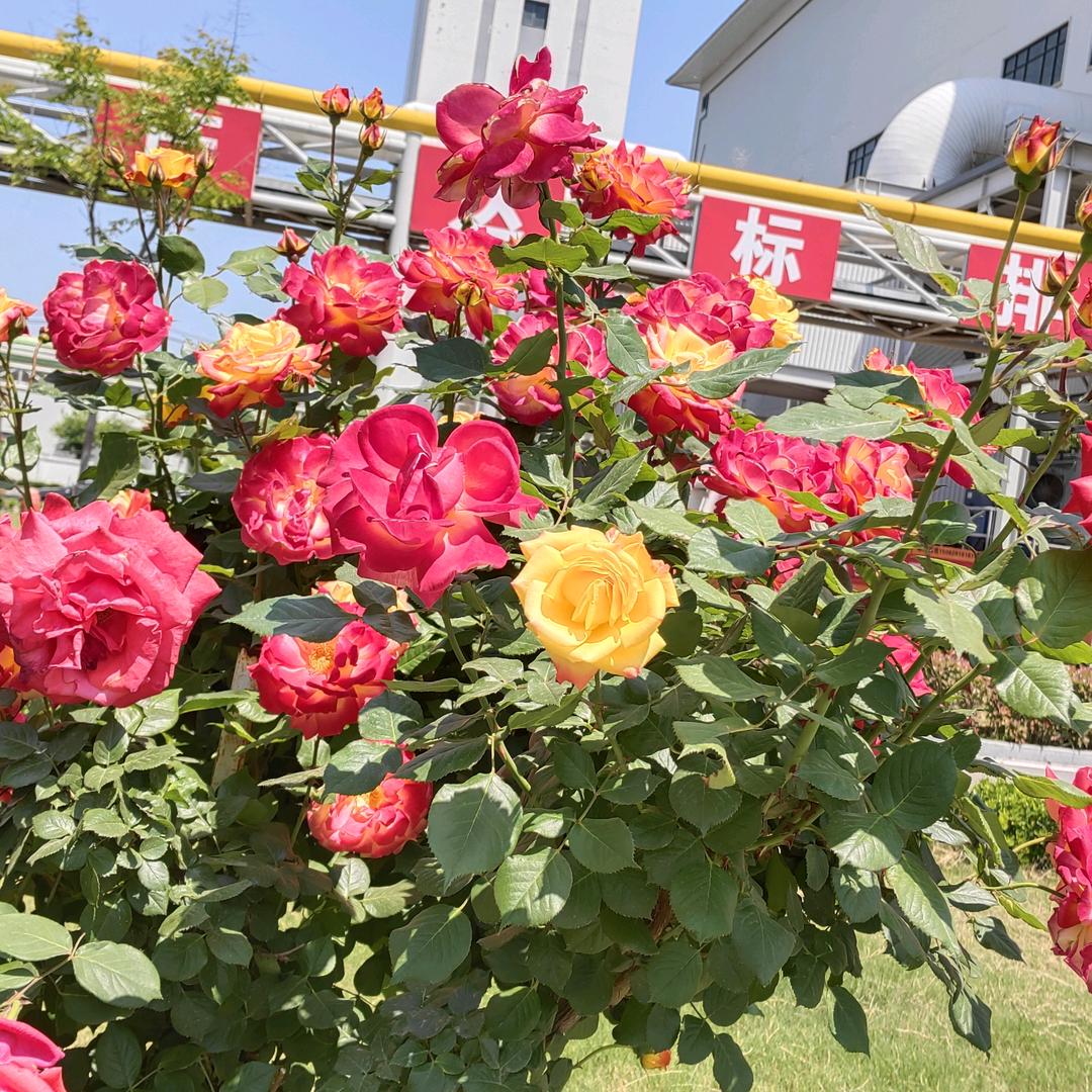 好一个无中生有