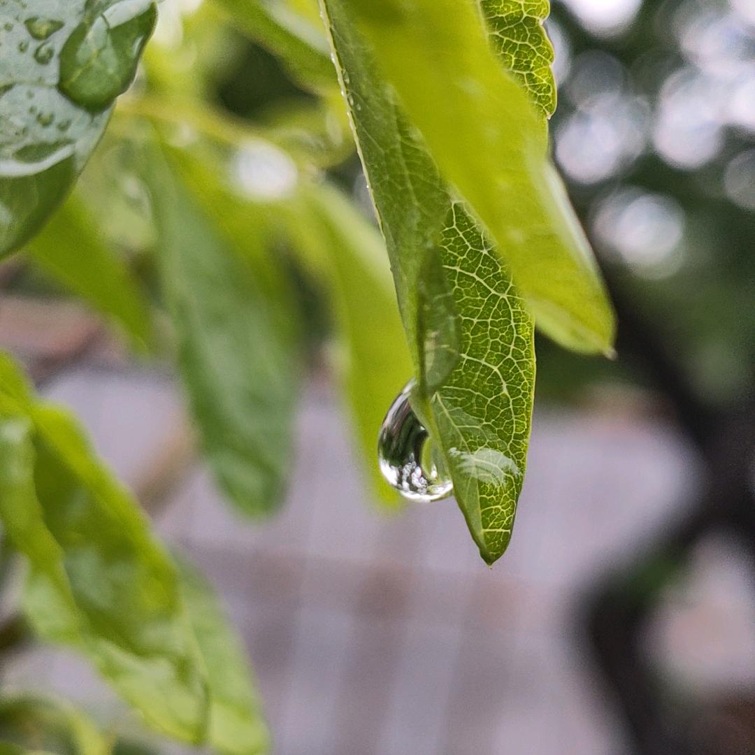 嘚瑟老友！😊！