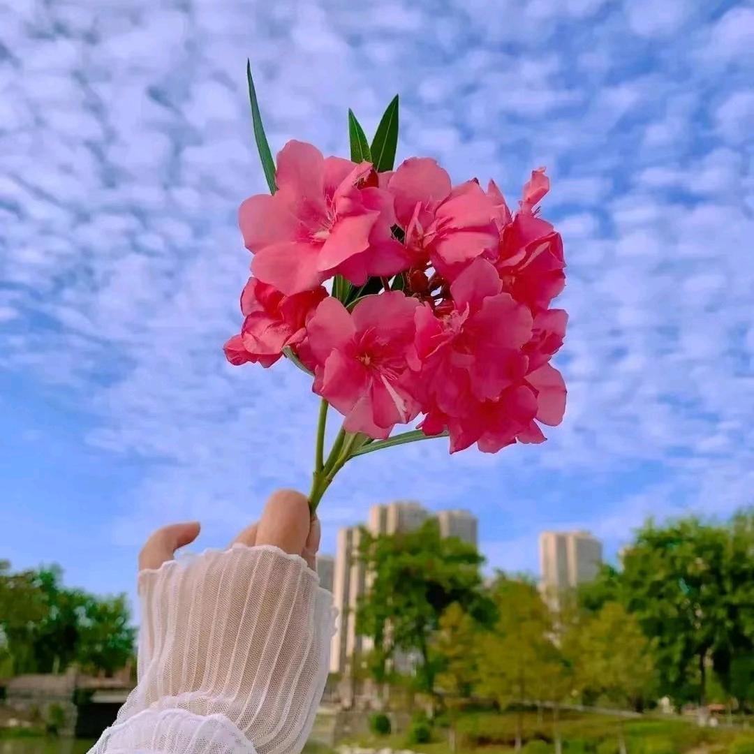 ～安然、