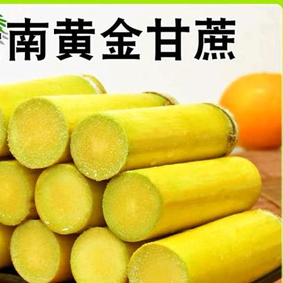 蒙阳鑫鑫果蔬