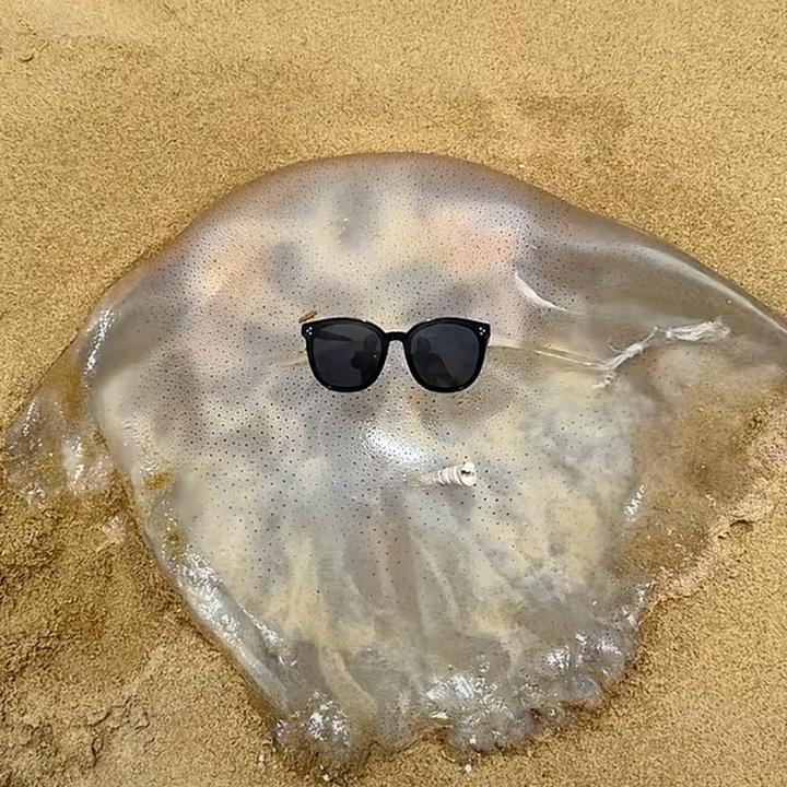 星星失眠