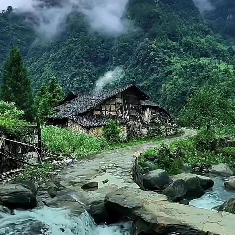 DIYANGwEI