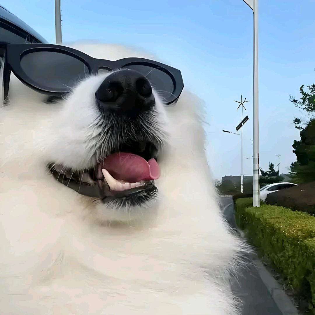 小镇三千万拆迁款我一人贪之