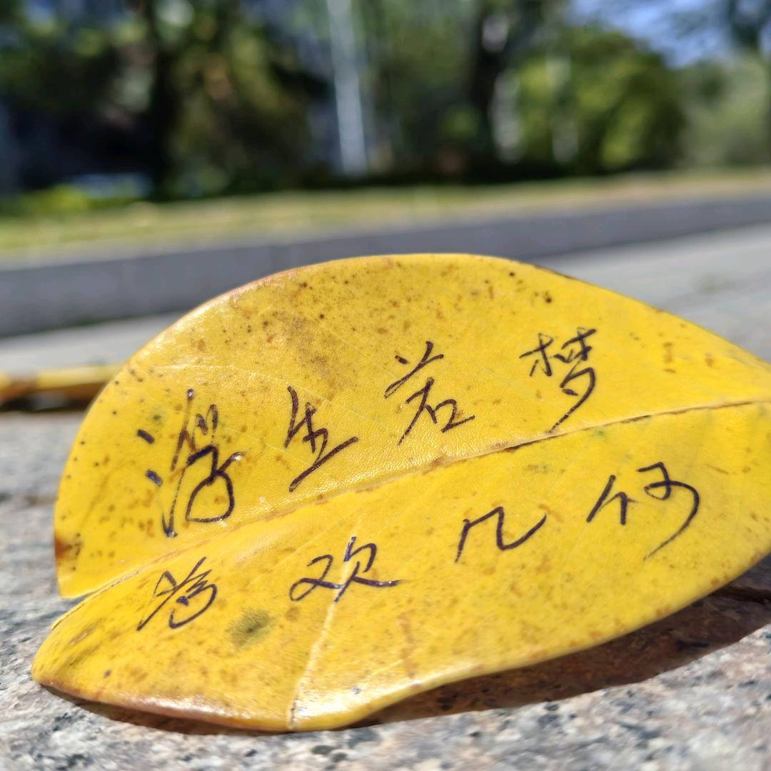@一粒微尘