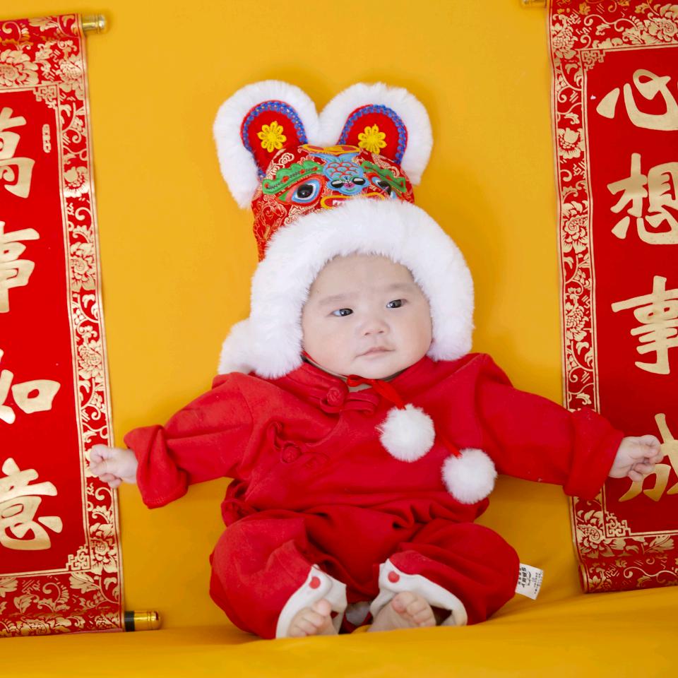 嘉源