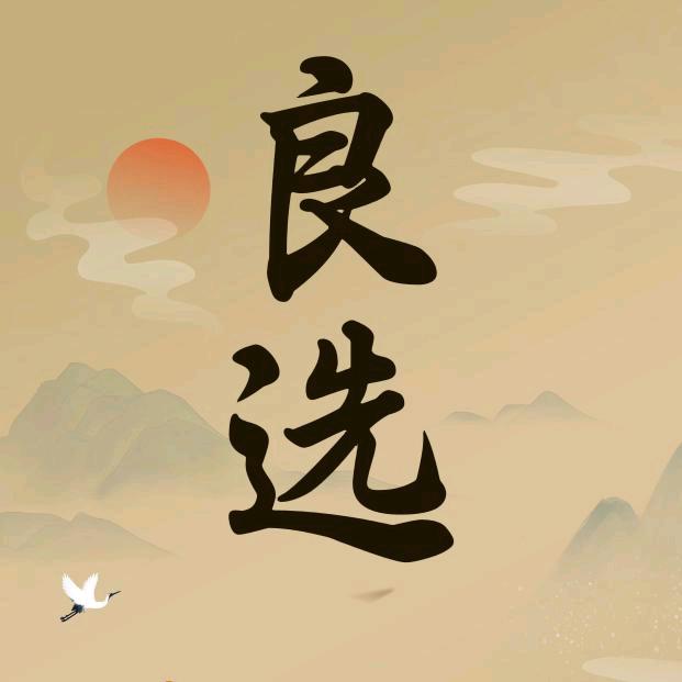 良心的选择
