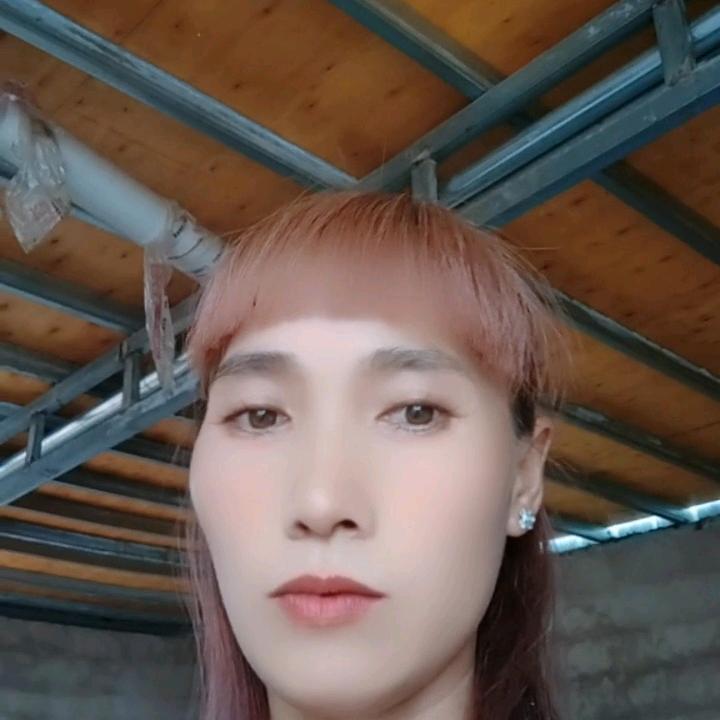 风中等你