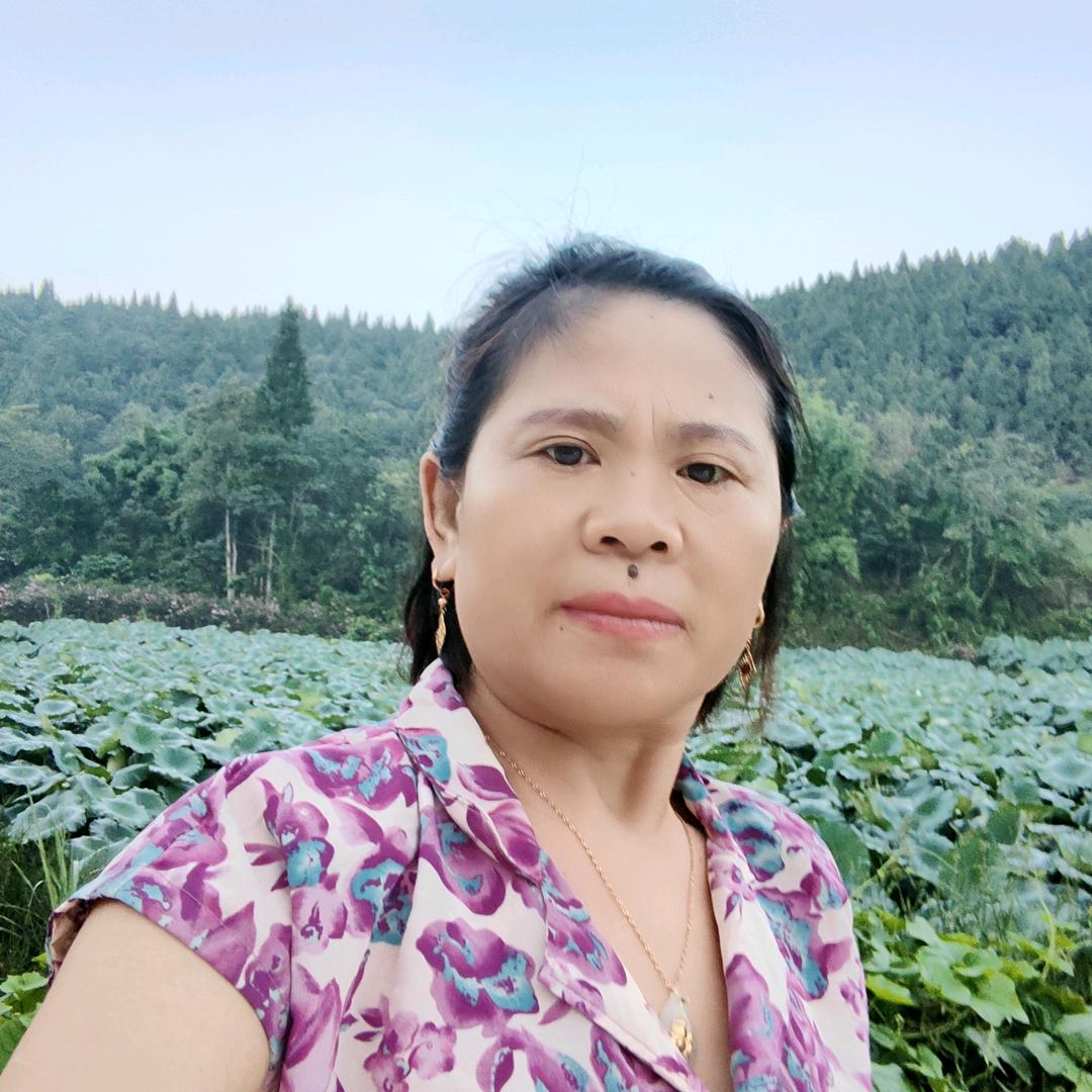 薰衣草，橱窗（晚上好七点十分直播）