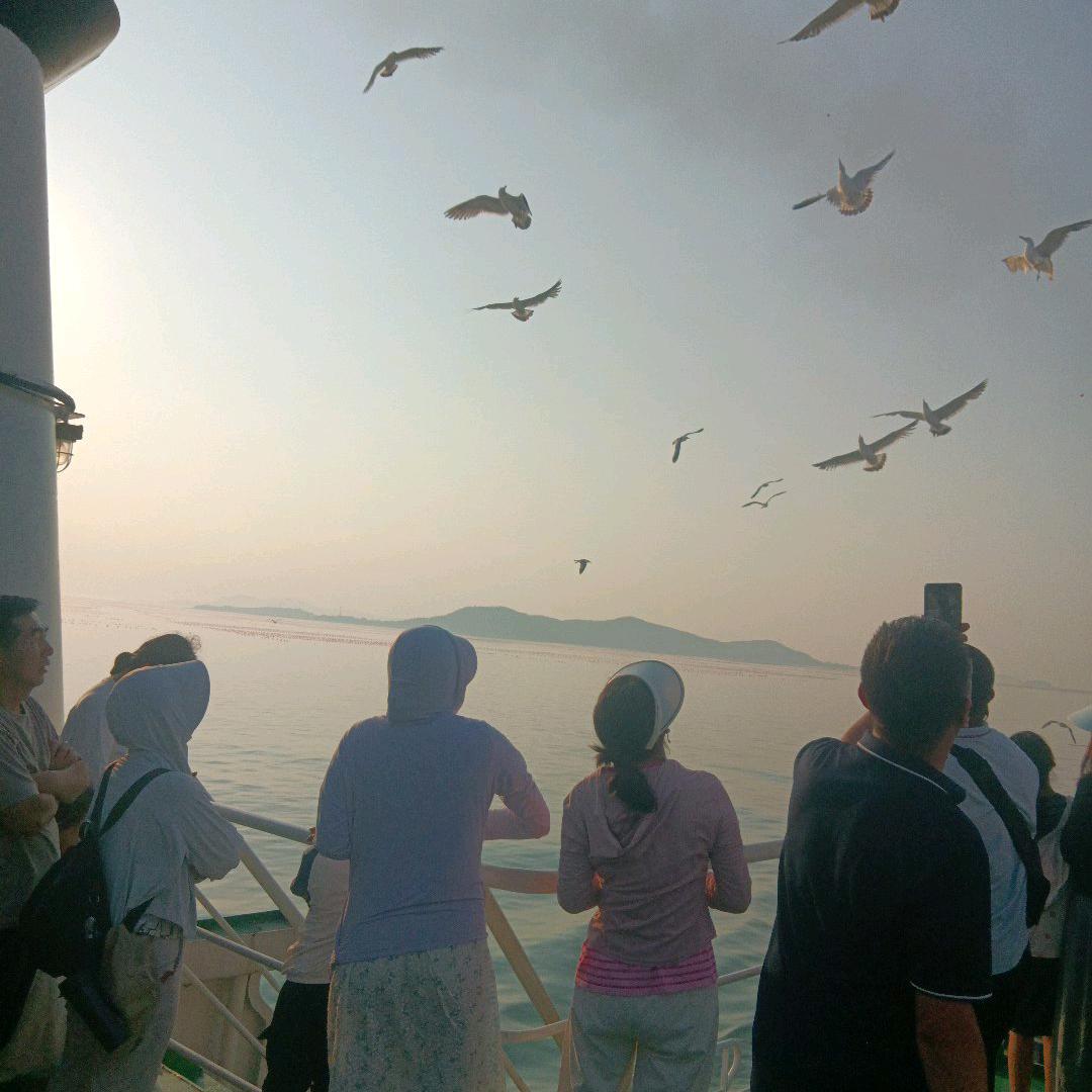 生活甜蜜蜜，好运连连