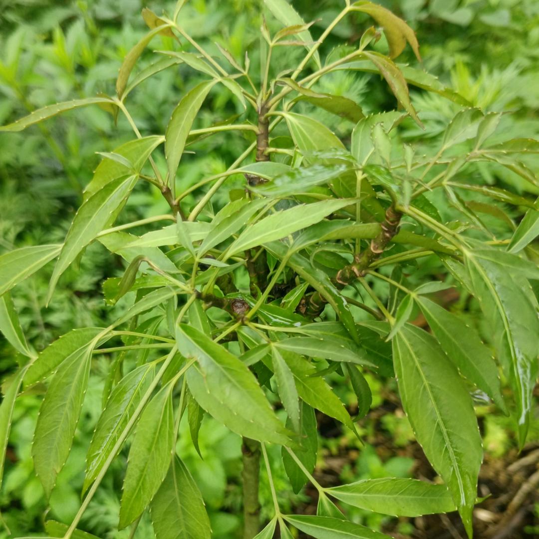“理”所当然