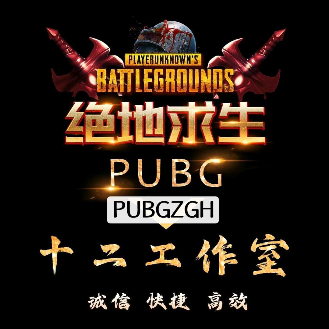 PUBG十二工作室