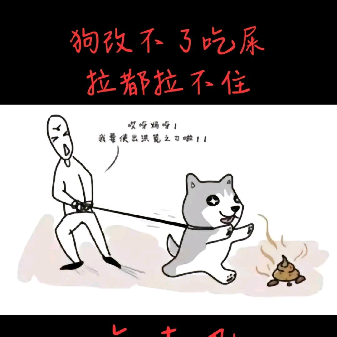 随缘呢