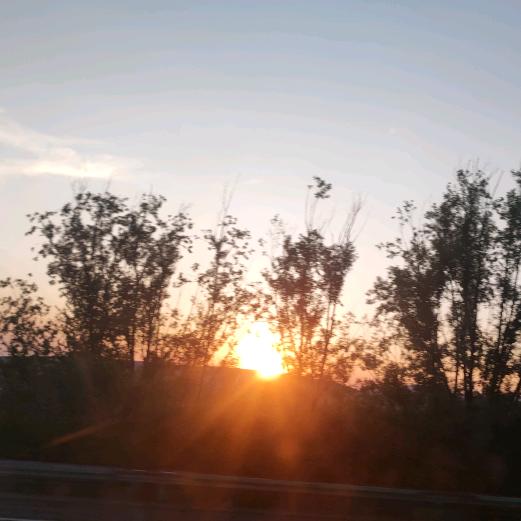 阳高好视立小滑