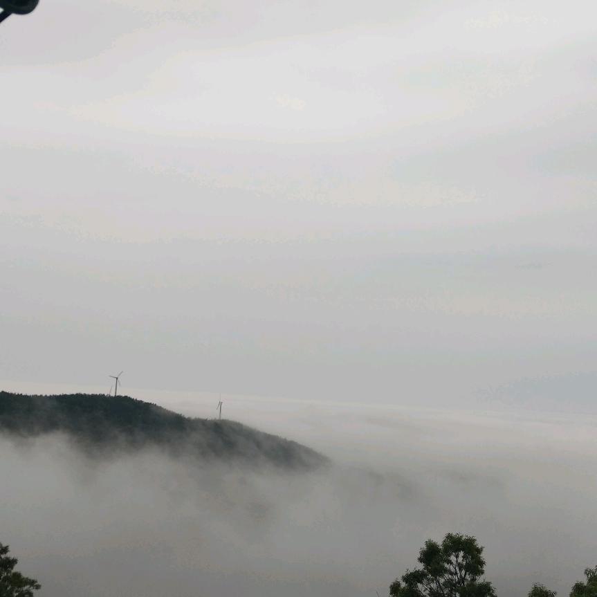 人生苦与甜