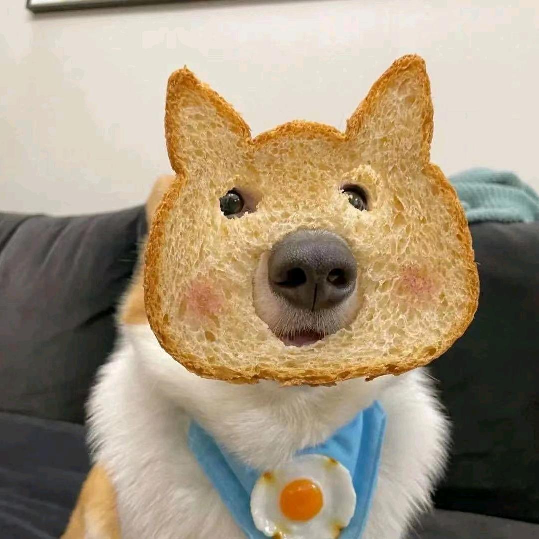 王大大🧣