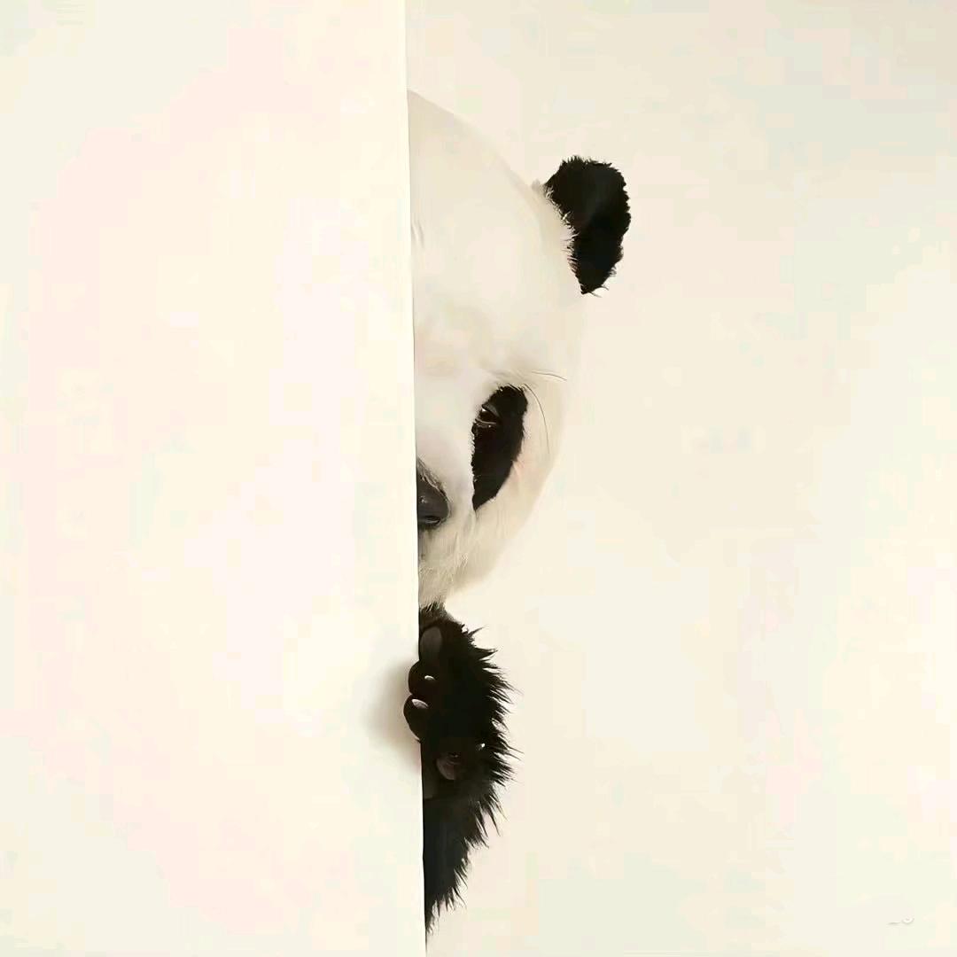 糕.糕