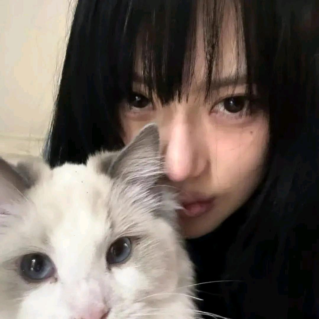 小傅