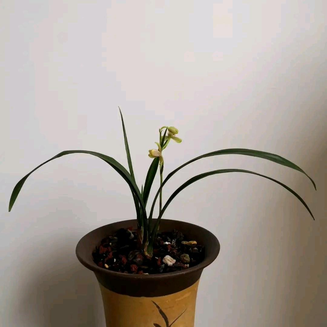 玉瑞堂