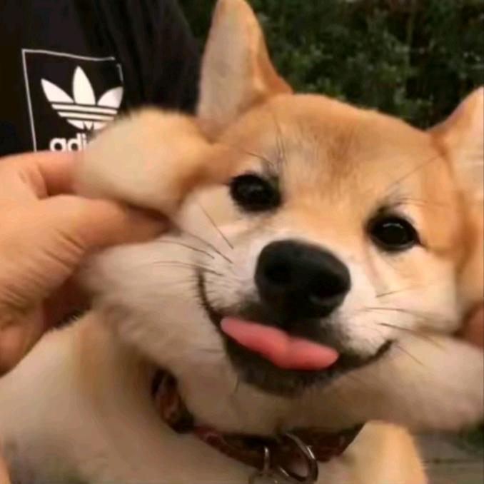林阿娟