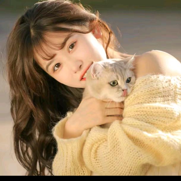 芝芝小芙