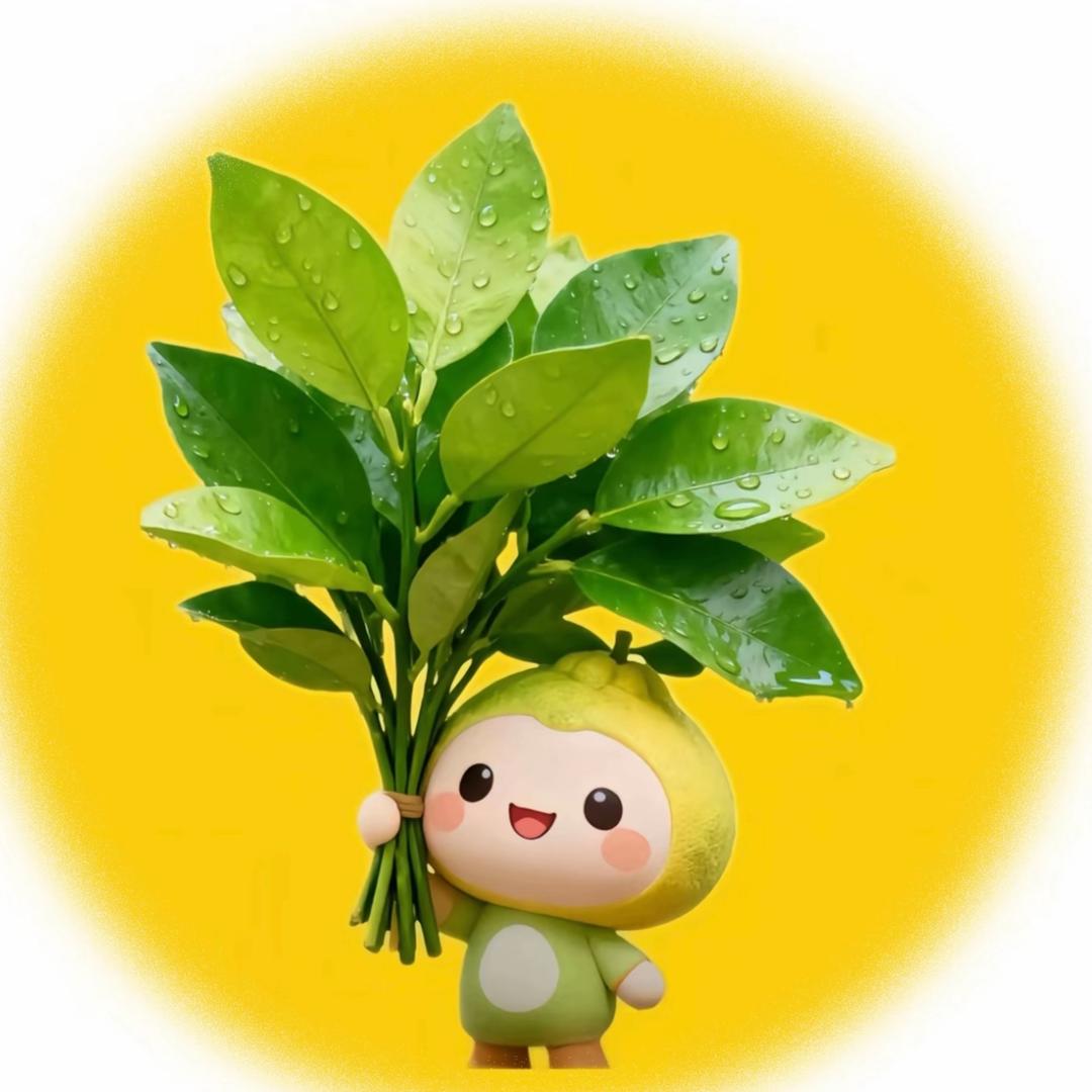 金豆豆满罐罐🏺