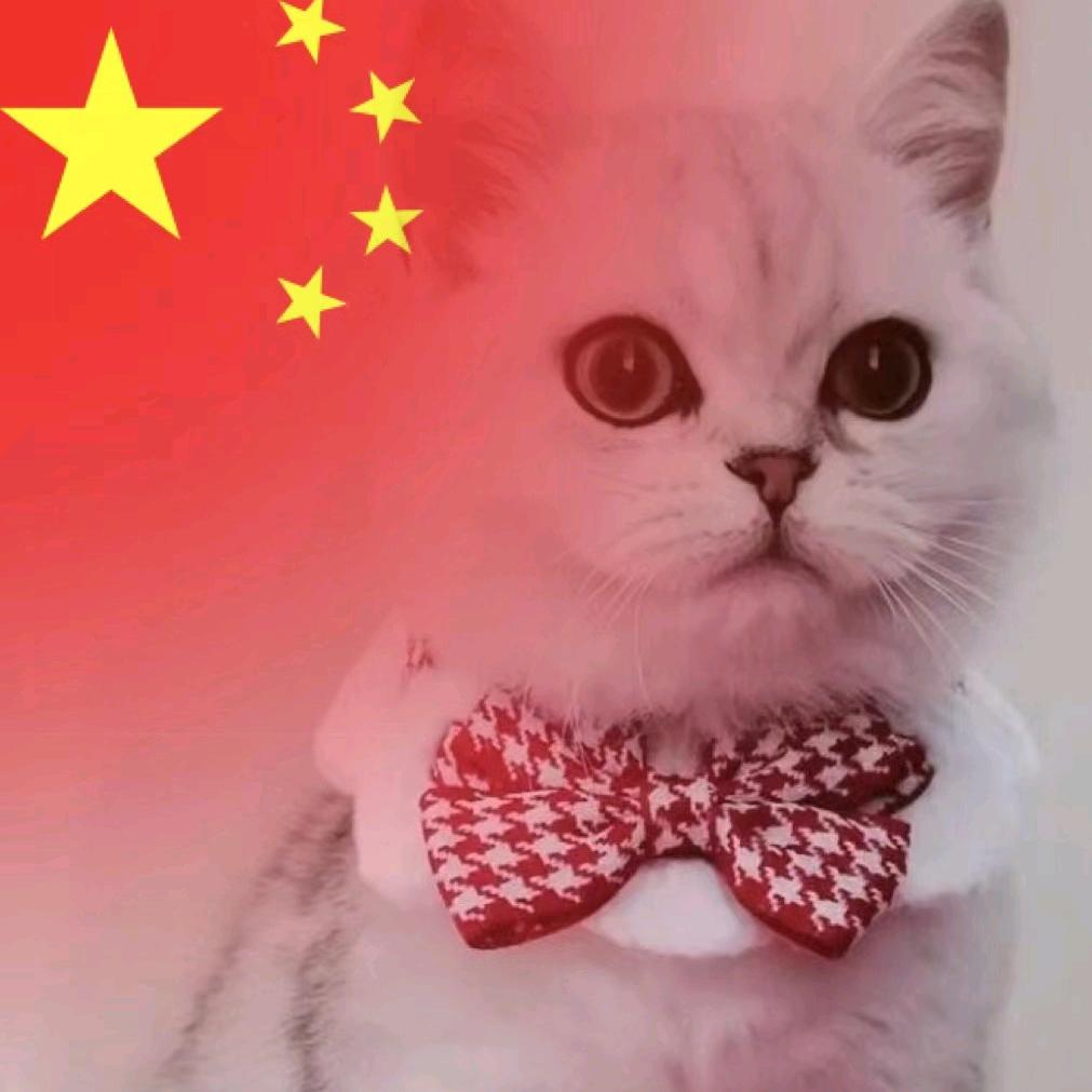 踏雪寻梅
