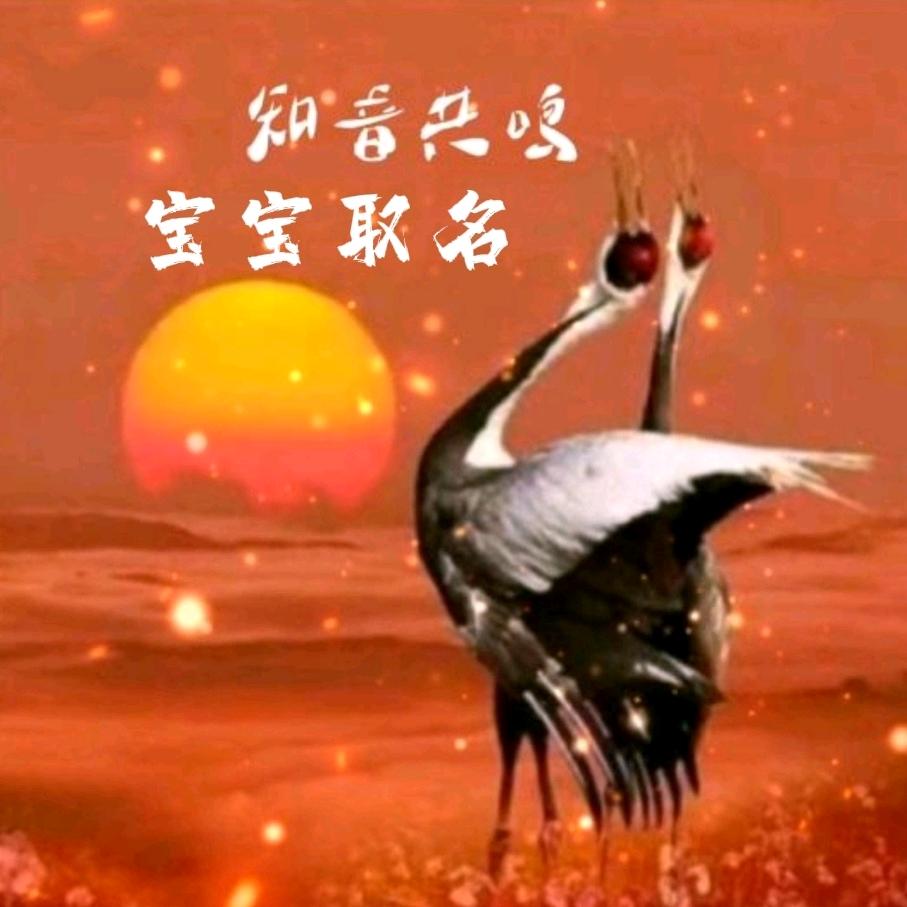 知酿宏名