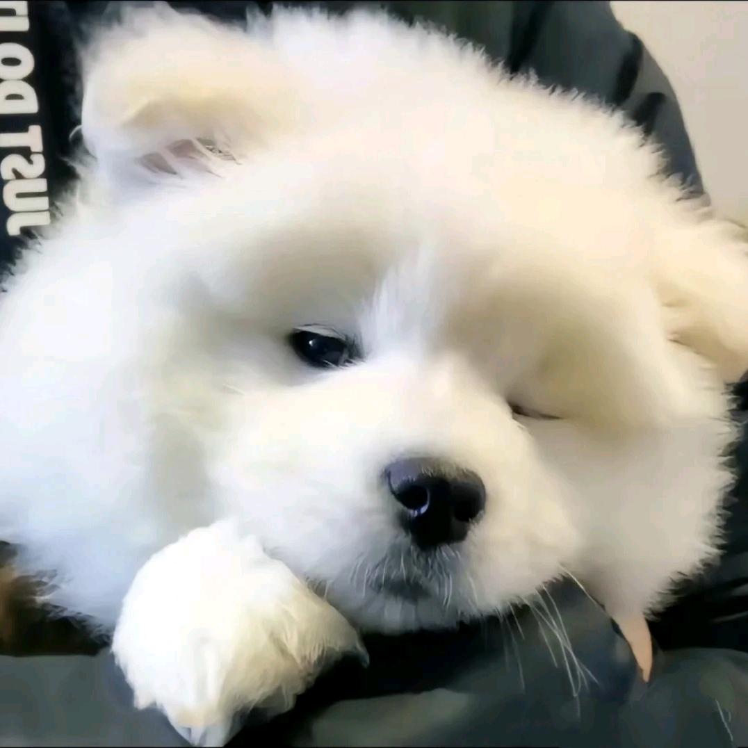 𝓵𝓲𝓷